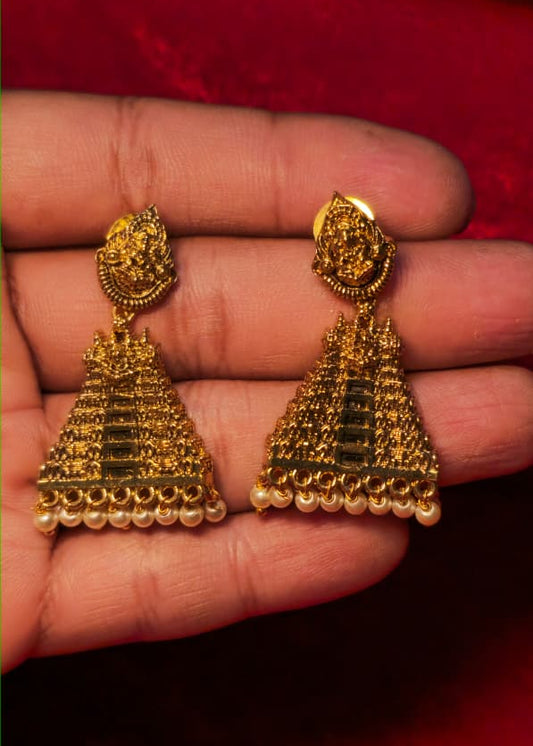 Premium Earrings Set